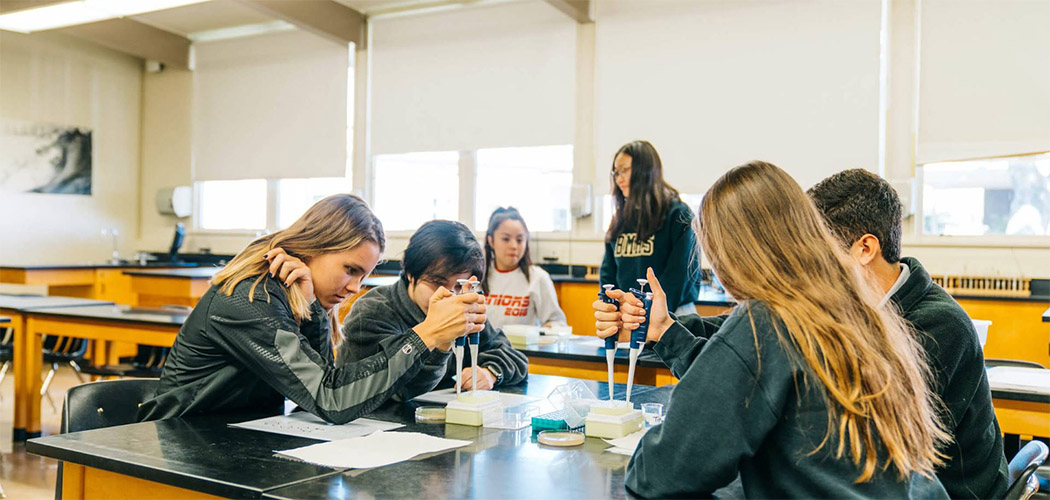 Estados Unidos da América: Características da educação