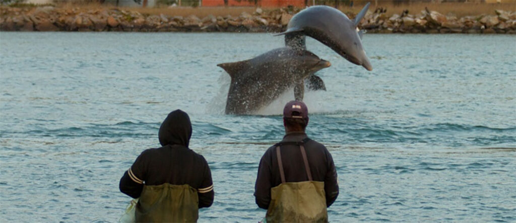 Pesca com Botos no Sul do Brasil