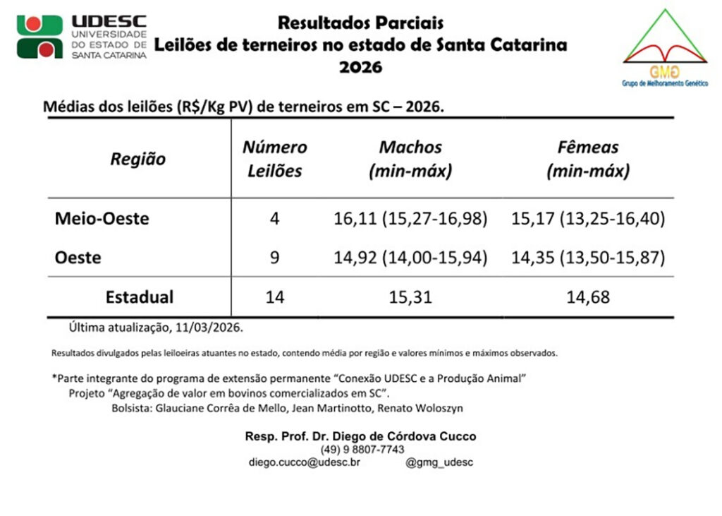 Resultado parcial dos leilões de terneiros em SC