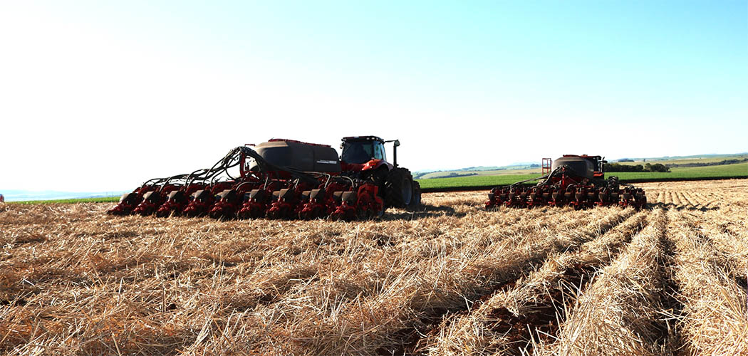 Campos Novos reafirma sua posição de destaque no cenário agrícola catarinense