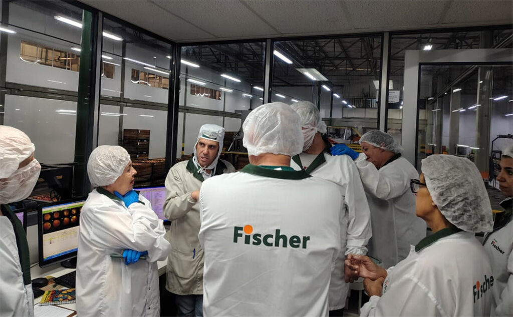 O Packing House da Fischer, em Fraiburgo, é estratégico para a exportação, pois concentra todas as etapas do processo produtivo, desde o recebimento da fruta até a expedição ao mercado