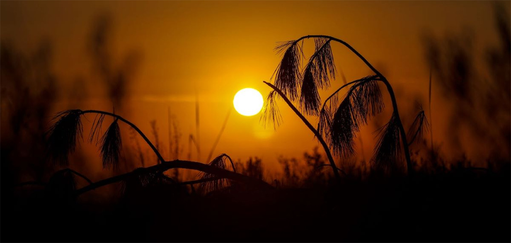 Dias ensolarados intercalam com chuvas isoladas na semana, especialmente no Grande Oeste; virada ocorre no sábado (25) com avanço de frente fria