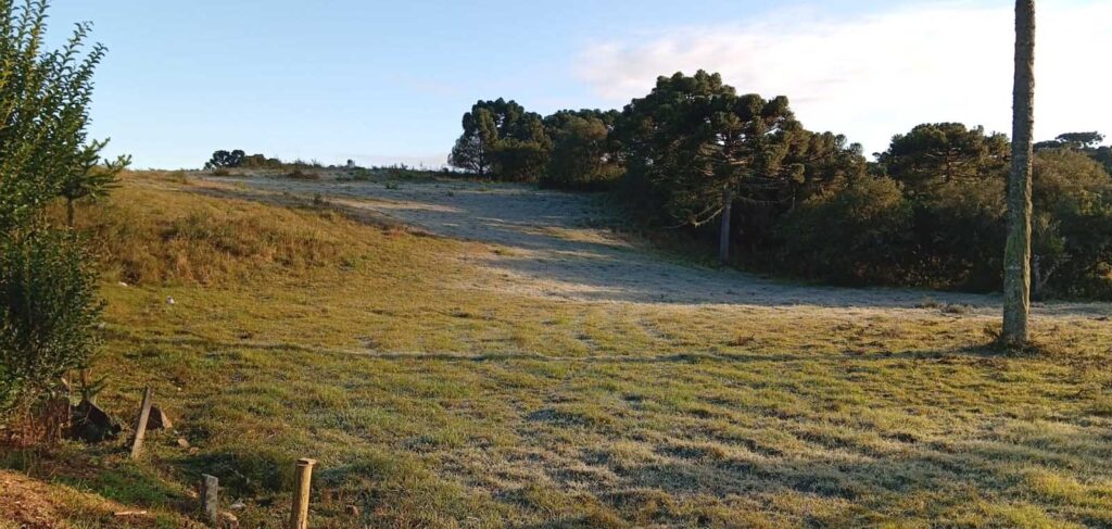 Santa Catarina registra as menores temperaturas do ano com mínimas abaixo de 0°C