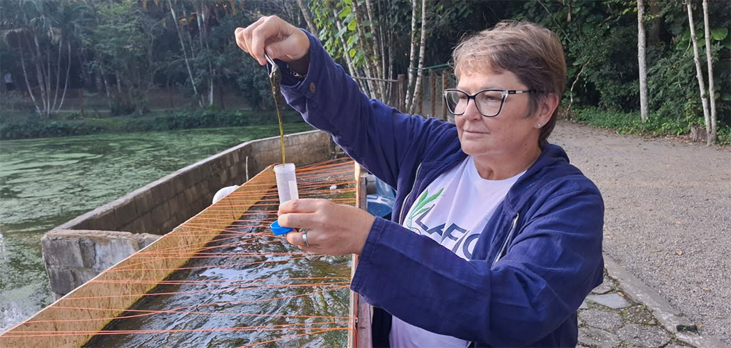 As avaliações incluem a capacidade de filtração da água por algas