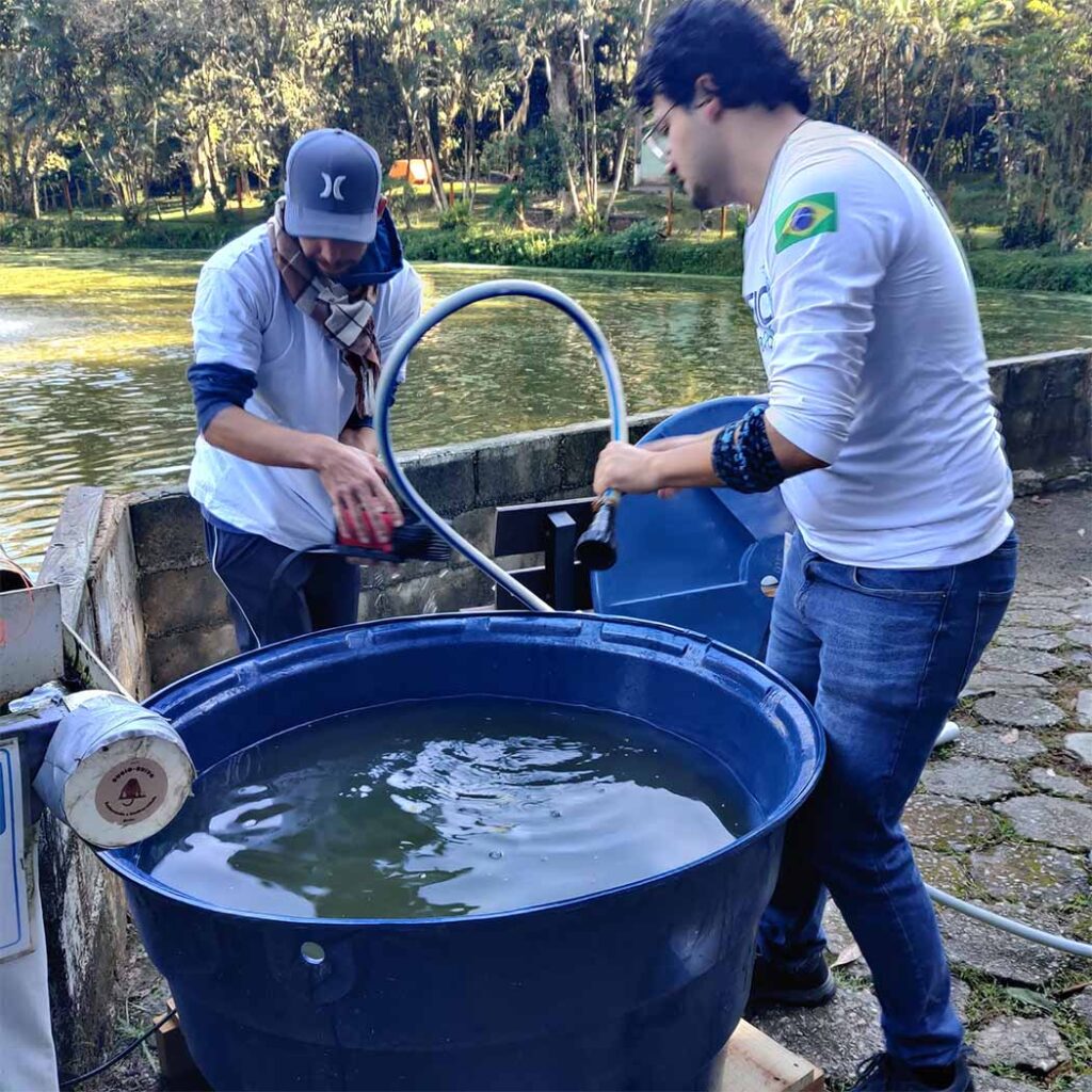 Algas podem salvar lagos em Floripa 