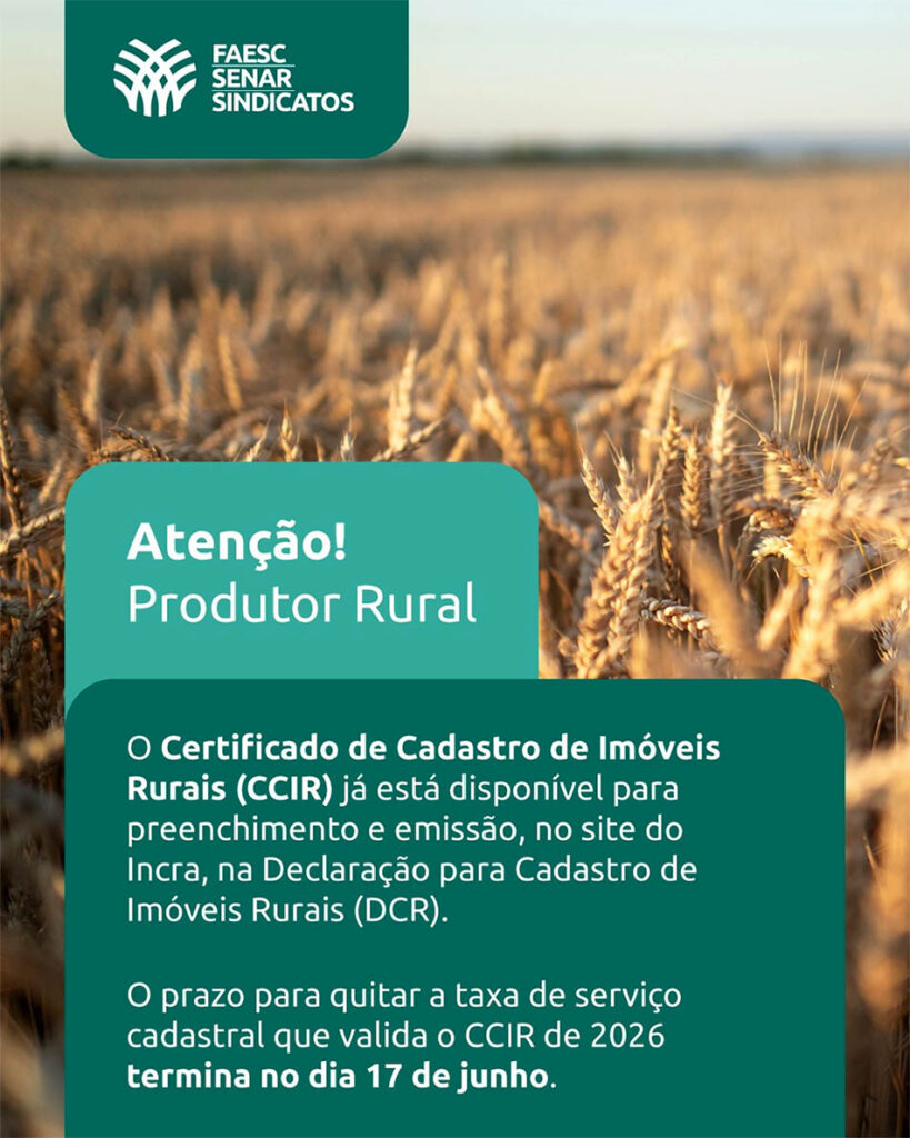 O CCIR 2026 substitui o documento emitido no ano anterior
