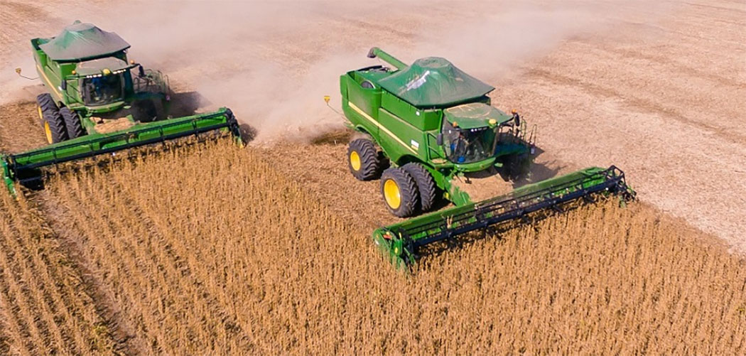 A safra da na Coocam se manteu competitiva, a soja ficou entre 60 e 62 sacas por hectare