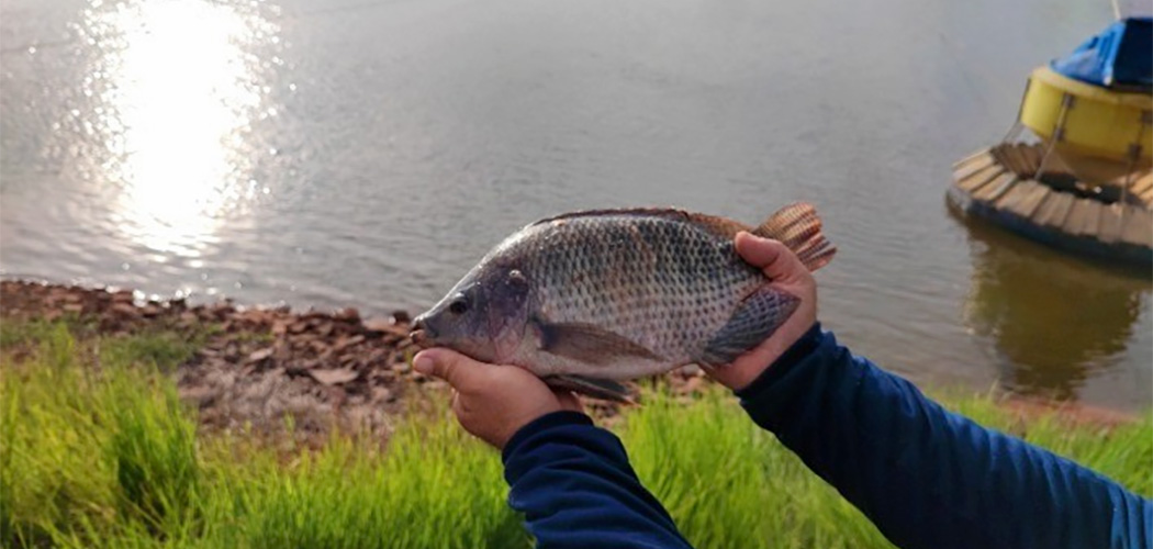 Seminário reuniu produtores de pescado, técnicos e lideranças regionais