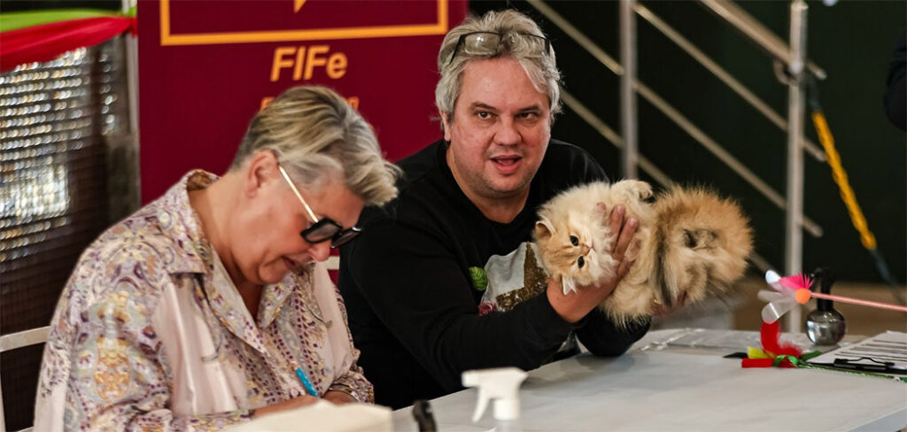 Gatarina Show 2026 reforça BC no Circuito Nacional da Felinofilia