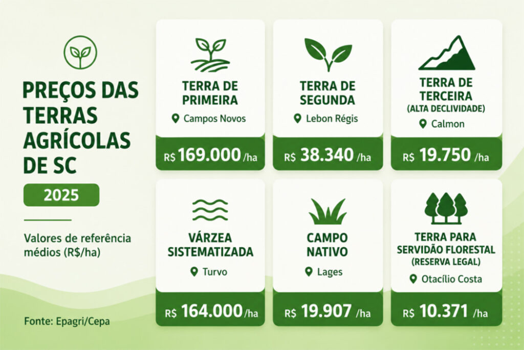 Mercado do Agro em SC