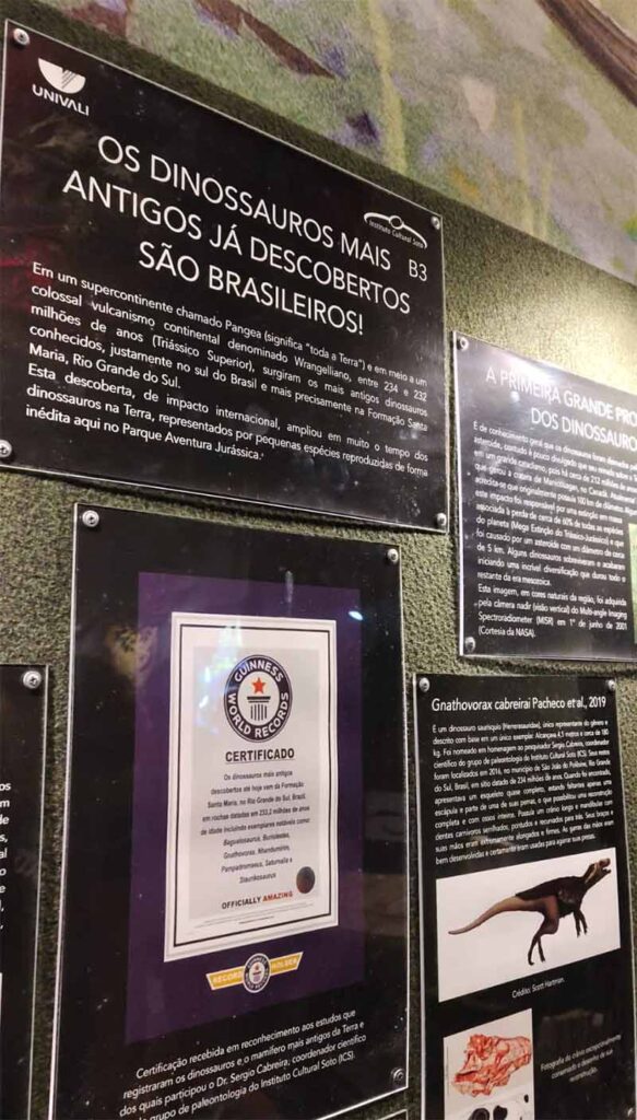 Dia Internacional dos Museus: parque dos dinossauros em SC une fósseis raros e experiências imersivas