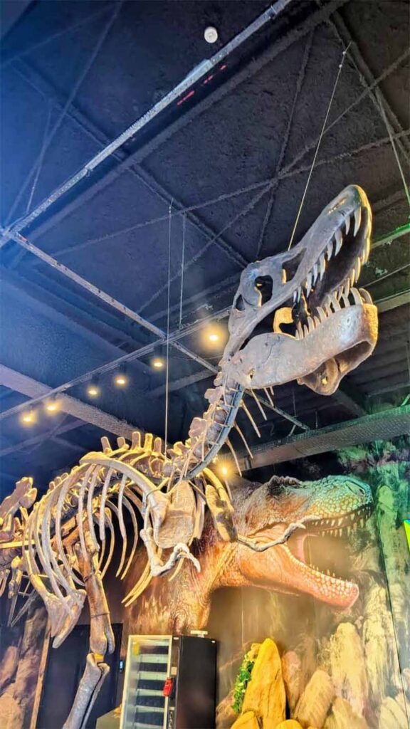 Dia Internacional dos Museus: parque dos dinossauros em SC une fósseis raros e experiências imersivas