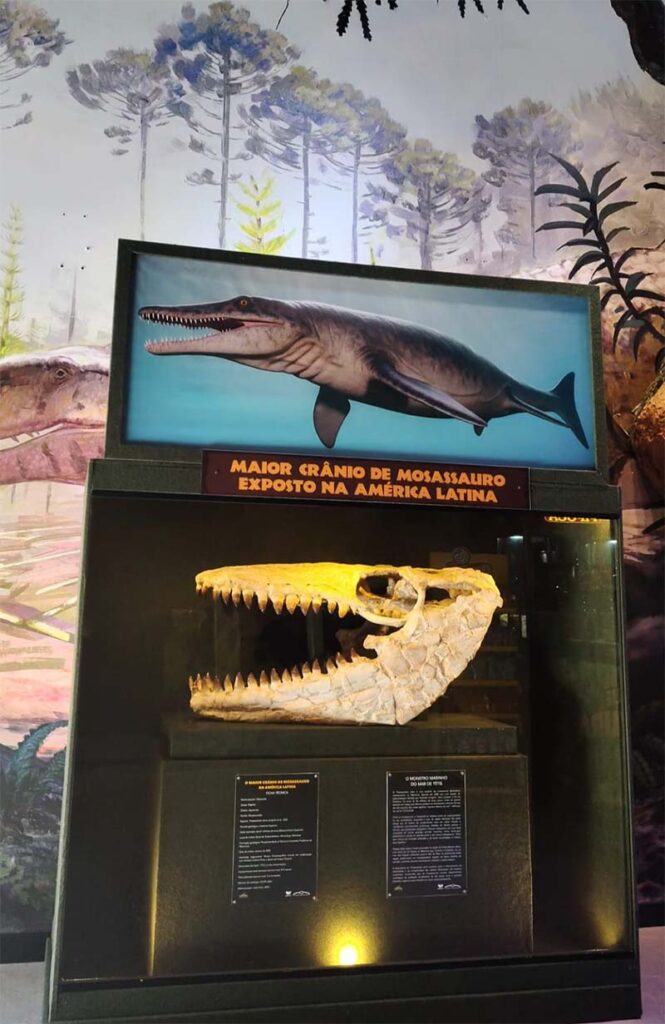 Dia Internacional dos Museus: parque dos dinossauros em SC une fósseis raros e experiências imersivas