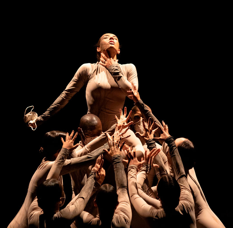 Prêmio Desterro celebra a 15ª edição do Festival de Dança de Florianópolis