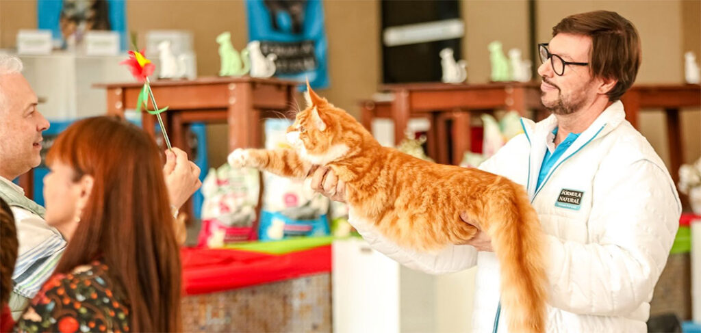 Gatarina Show 2026 reforça BC no Circuito Nacional da Felinofilia