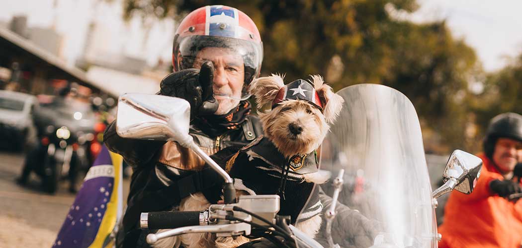 Entre motos e rock, Festival Rota 01 promete impulsionar o mototurismo em Ponta Grossa