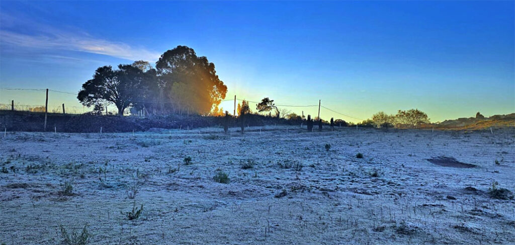 Frio em SC