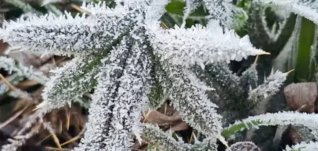 Frio na Serra em SC