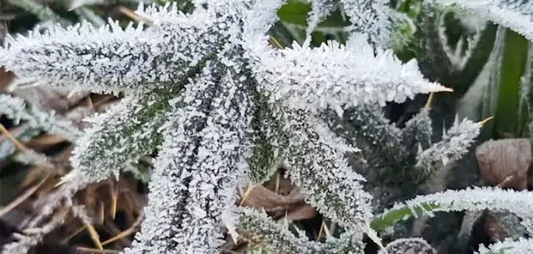 Frio na Serra em SC