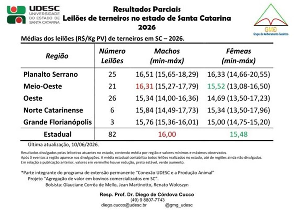 Com 82 leilões contabilizados, mercado de terneiros mantém médias estáveis em SC