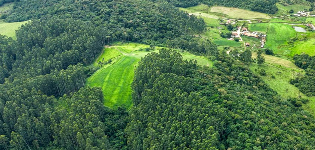 Mais Verde - Governo de SC