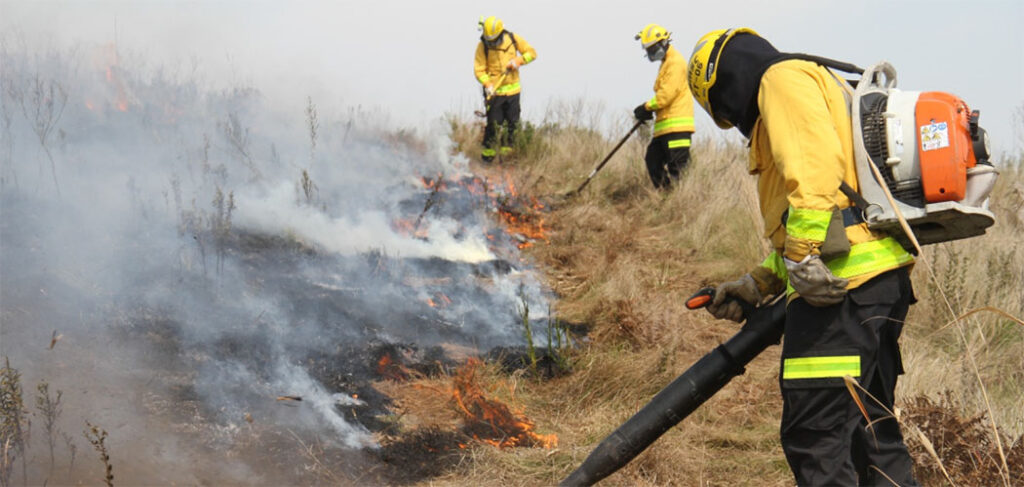 CBMSC alerta para riscos das fogueiras após aumento de 61% nas ocorrências em Santa Catarina