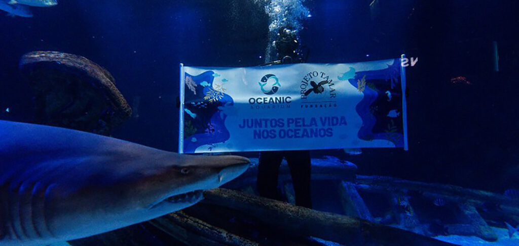 Grupo Oceanic e Fundação Projeto Tamar lançam projeto inédito no Sul do Brasil sobre a vida nas profundezas do oceano
