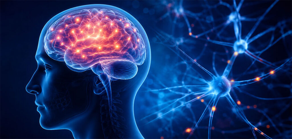 Dia Mundial do Cérebro (22/07): reforça a importância da prevenção e dos hábitos saudáveis para preservar a saúde mental e neurológica