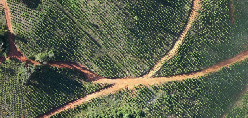 Irani investe em tecnologia para fortalecer a gestão florestal no Meio-Oeste de Santa Catarina