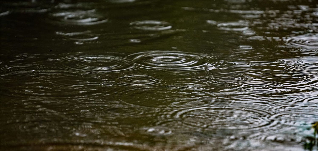Em Santa Catarina, 24 municípios registram mais de 100 mm de chuva em apenas um dia