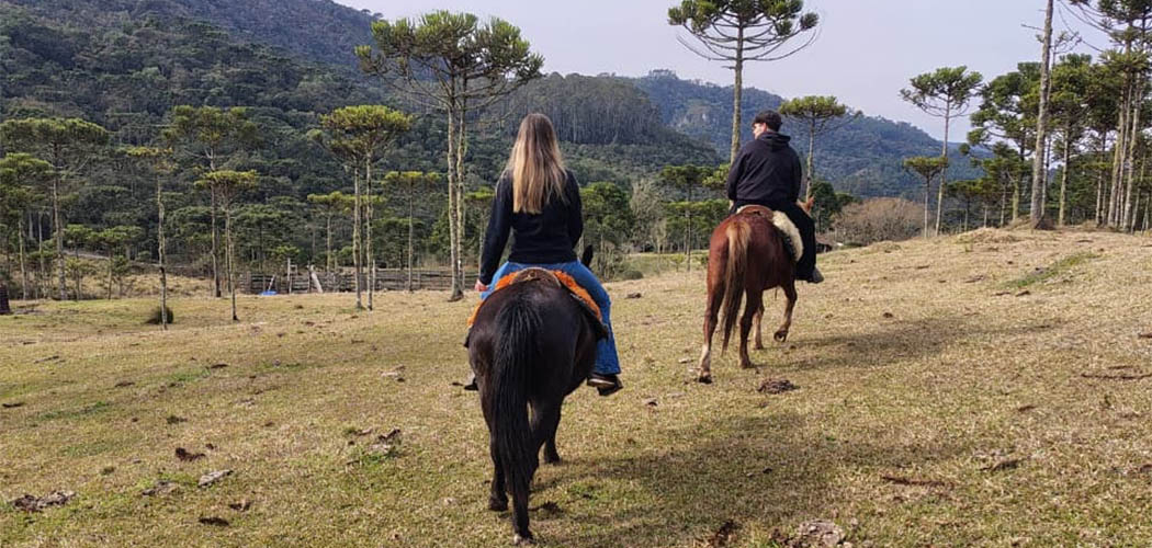 Turismo rural transforma potencial das propriedades em novas fontes de renda
