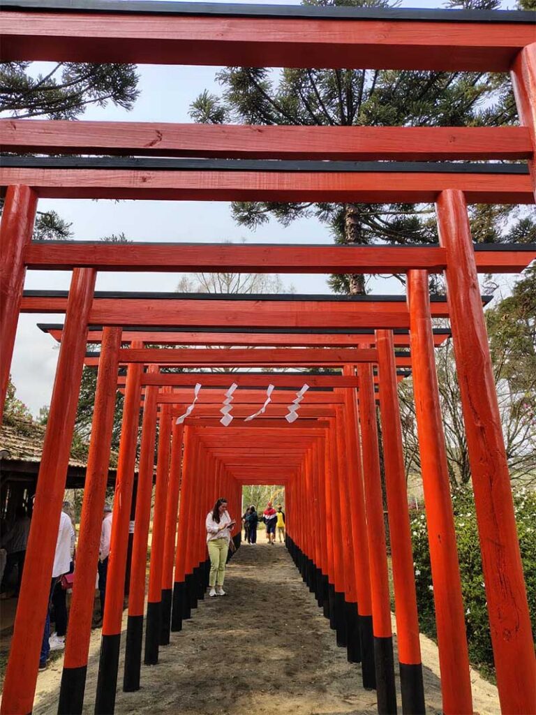 24ª Sakura Matsuri celebra a florada das cerejeiras e fortalece o turismo em Frei Rogério