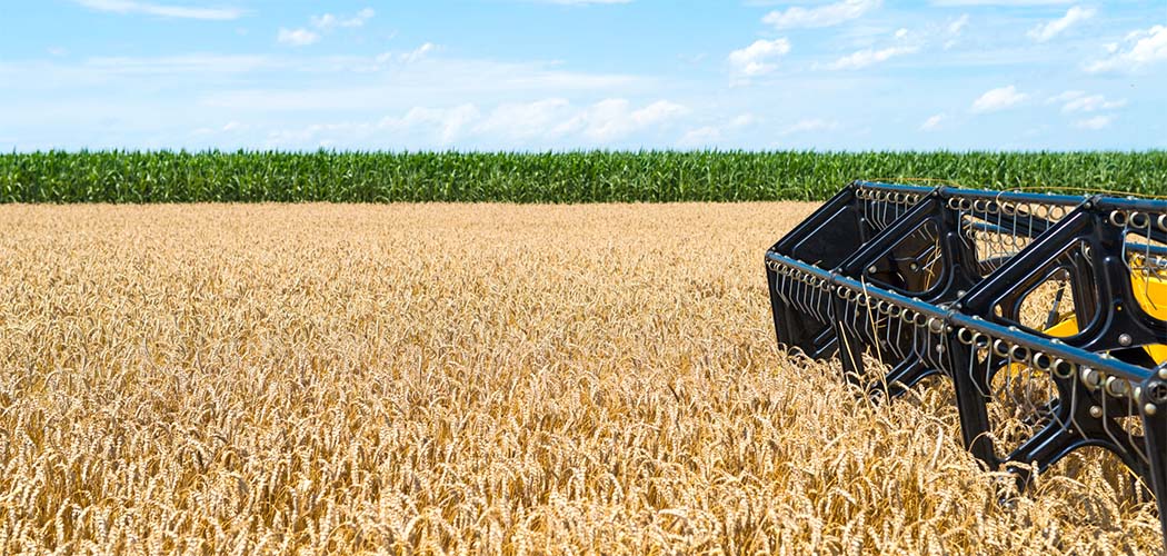 Agricultura de SC cresce 8% e coloca Estado entre os maiores produtores do país em 20 culturas