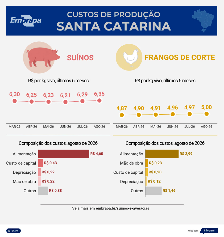 Custos de produção de frango de corte e de suínos sobem em agosto