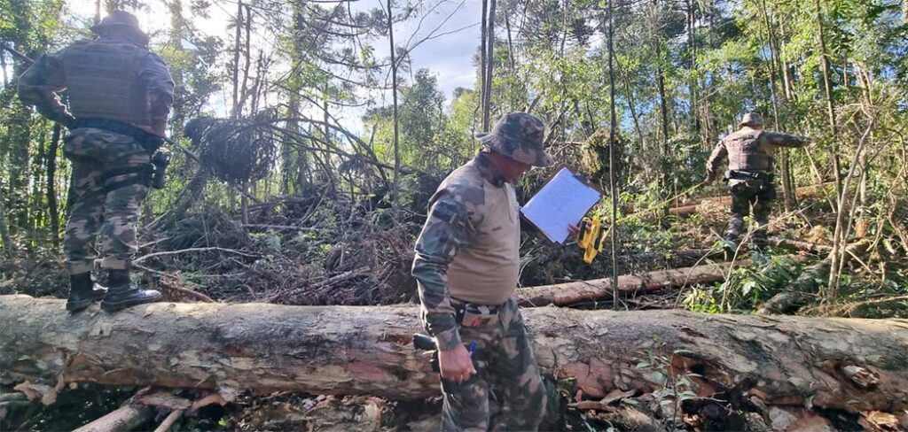 Fiscalização da Operação Mata Atlântica em Pé constata desmatamento e aplica multas em Videira