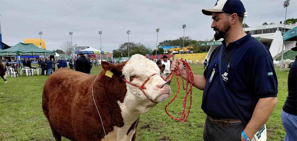 Santa Catarina se destaca na Expointer 2026 com 65 animais premiados