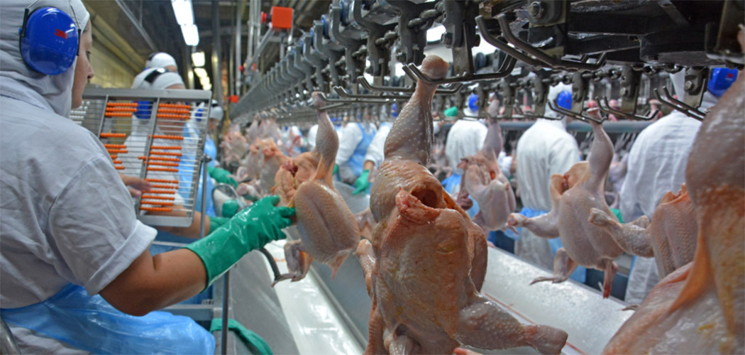Exportações de carnes de SC entram no radar diante de novas exigências europeias