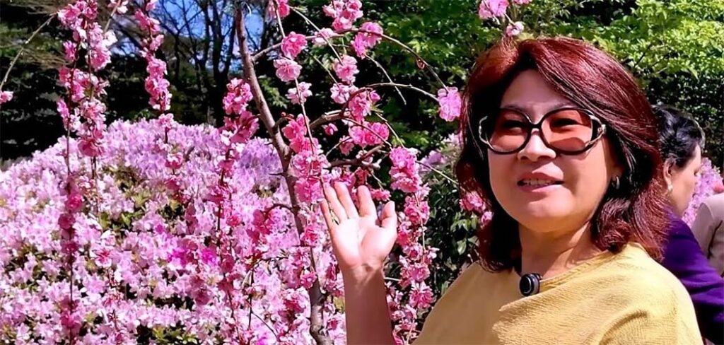 Entre cerejeiras, sabores e tradições, Frei Rogério celebra a cultura japonesa em SC