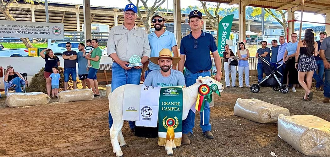 Julgamento de ovinos destaca genética e qualidade dos animais na EXPOMERCO 2026