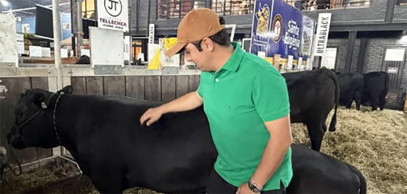 Santa Catarina se destaca na Expointer 2026 com 65 animais premiados