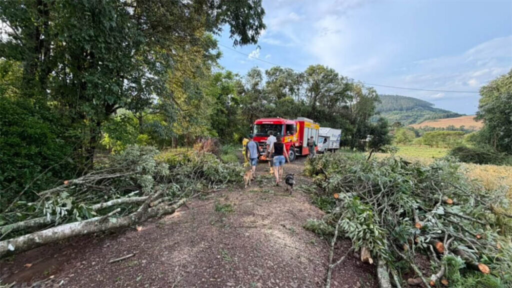 emporais levam seis municípios a decretar situação de emergência e 17 registram danos em SC