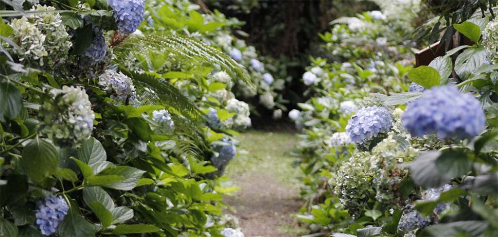 Primavera começa nesta terça-feira (22) com mudanças no clima e nas paisagens