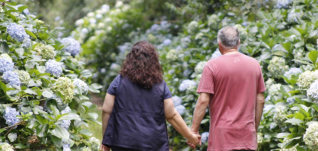 Primavera começa nesta terça-feira (22) com mudanças no clima e nas paisagens