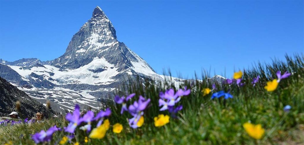 Verão nos Alpes suíços reúne natureza, bem-estar e experiências de contemplação