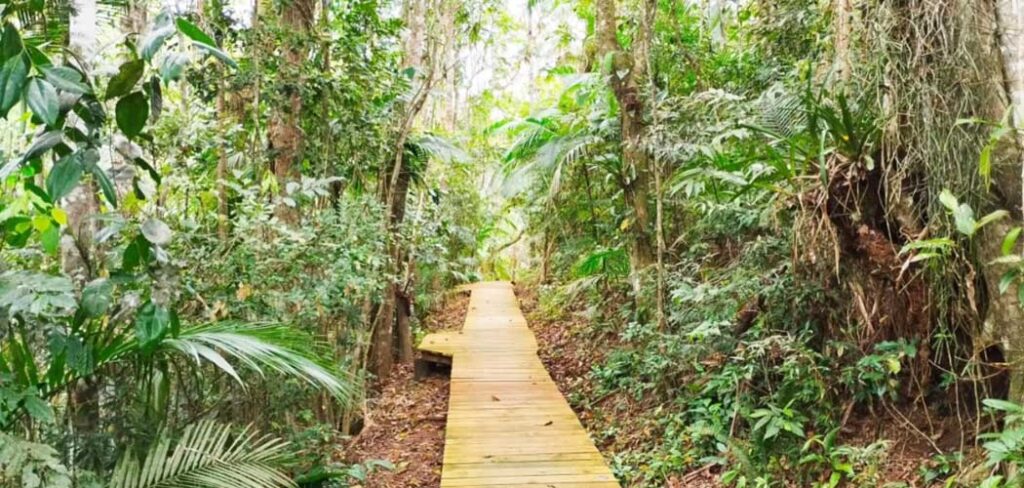 Primavera na Costa Verde & Mar reúne natureza, gastronomia e experiências culturais em Santa Catarina
