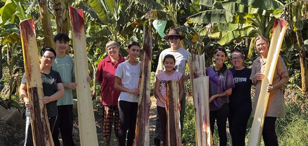 Museu da banana e marcas sustentáveis levam a economia circular de Corupá às passarelas de Milão