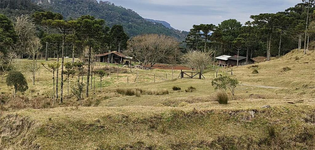 Agricultores e pescadores podem apresentar projetos para receber apoio do SC Rural 2