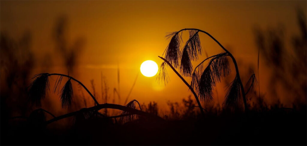 Fim de semana e feriado terão calor e temporais isolados em Santa Catarina