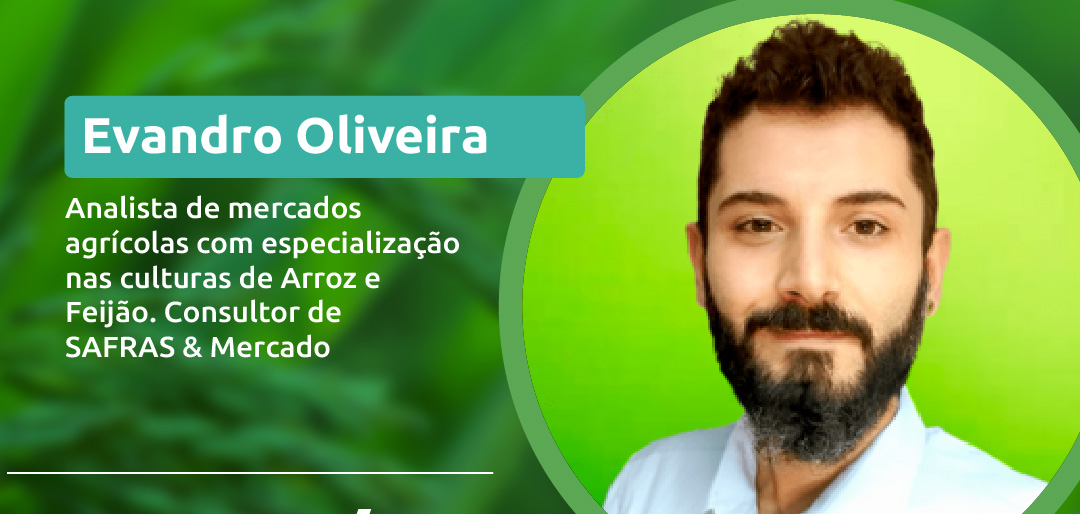 Sistema FAESC/SENAR e Safras & Mercado promovem webinar sobre o mercado do arroz dia 26