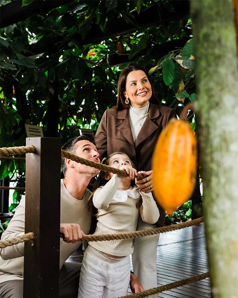 Nugali Chocolates, de Pomerode, conquista reconhecimento internacional com 2 produtos premiados em Paris
